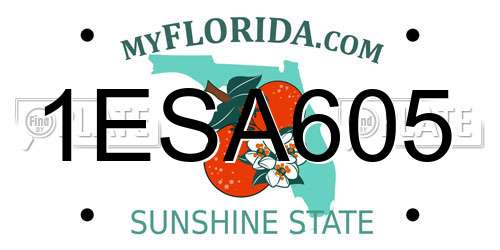 1ESA605 Florida License Plate