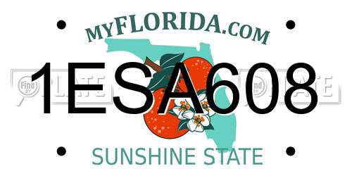 1ESA608 Florida License Plate