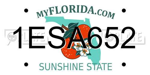 1ESA652 Florida License Plate