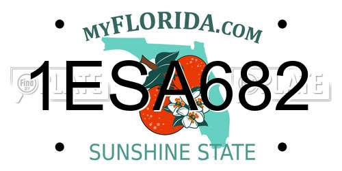 1ESA682 Florida License Plate