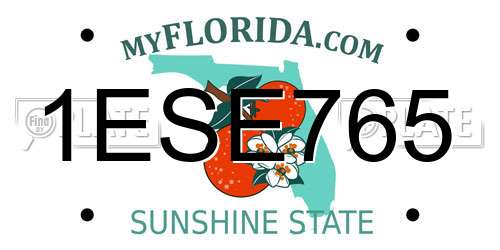 1ESE765 Florida License Plate