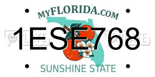 1ESE768 Florida License Plate