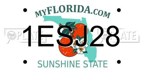 1ESJ28 Florida License Plate