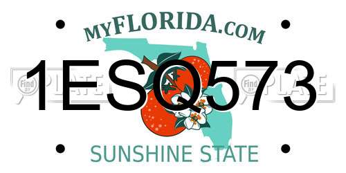 1ESQ573 Florida License Plate