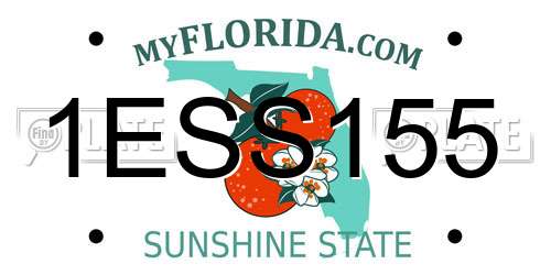 1ESS155 Florida License Plate