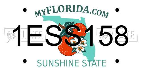 1ESS158 Florida License Plate