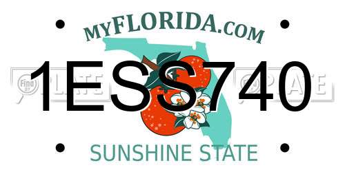 1ESS740 Florida License Plate