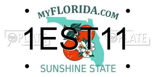 1EST11 Florida License Plate
