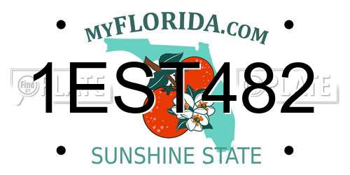 1EST482 Florida License Plate