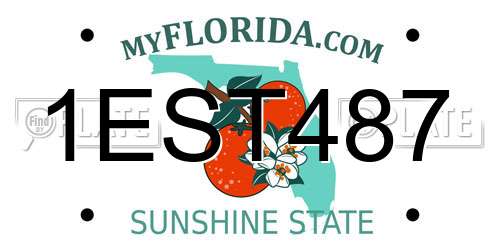 1EST487 Florida License Plate