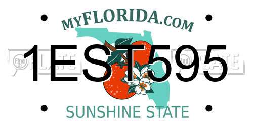 1EST595 Florida License Plate