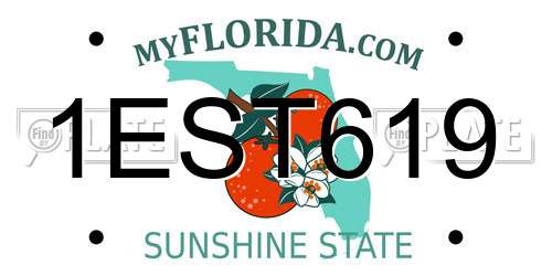 1EST619 Florida License Plate