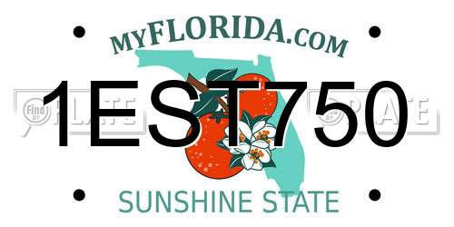 1EST750 Florida License Plate