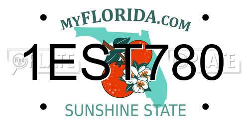 1EST780 Florida License Plate