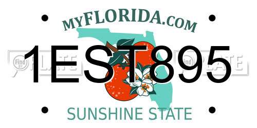 1EST895 Florida License Plate