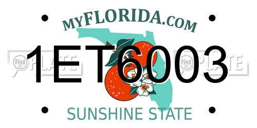 1ET6003 Florida License Plate