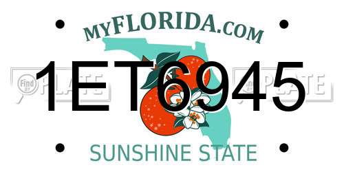 1ET6945 Florida License Plate