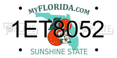 1ET8052 Florida License Plate