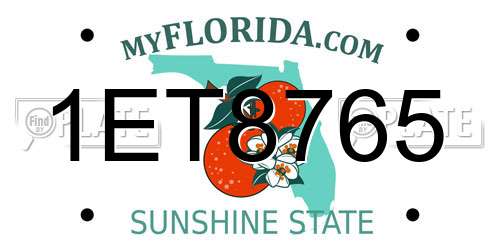 1ET8765 Florida License Plate