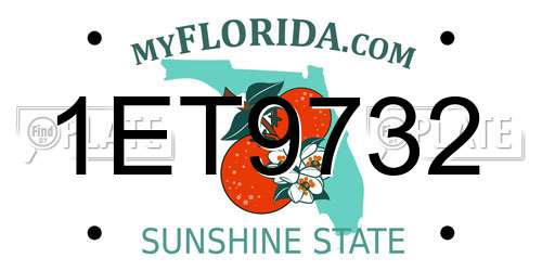 1ET9732 Florida License Plate