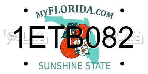 1ETB082 Florida License Plate