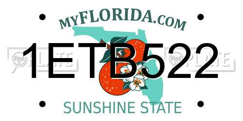 1ETB522 Florida License Plate
