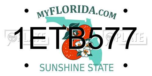 1ETB577 Florida License Plate