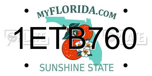 1ETB760 Florida License Plate
