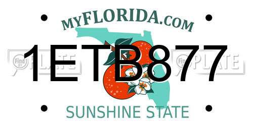 1ETB877 Florida License Plate
