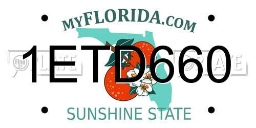 1ETD660 Florida License Plate
