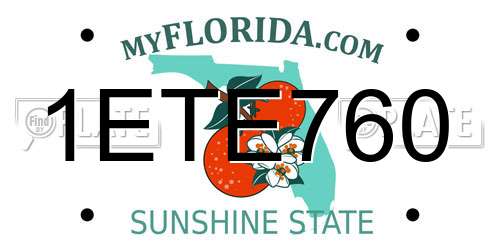 1ETE760 Florida License Plate