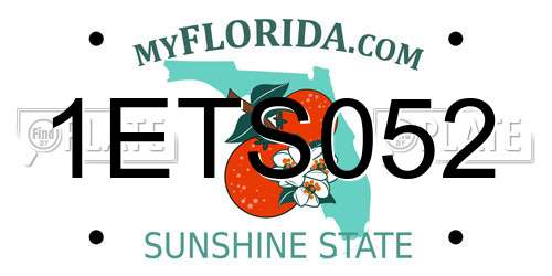 1ETS052 Florida License Plate