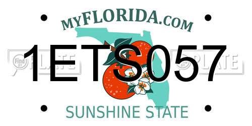 1ETS057 Florida License Plate