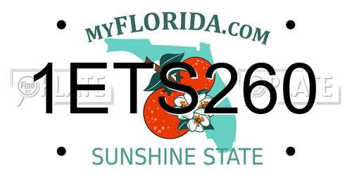 1ETS260 Florida License Plate