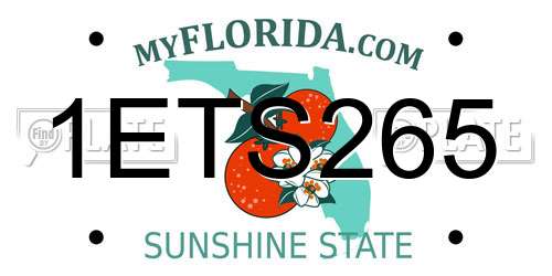 1ETS265 Florida License Plate
