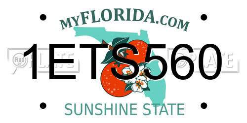 1ETS560 Florida License Plate