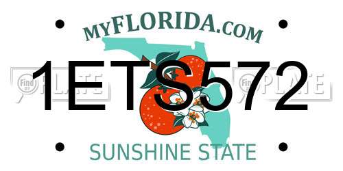 1ETS572 Florida License Plate