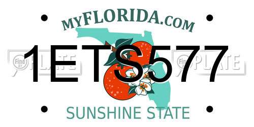 1ETS577 Florida License Plate