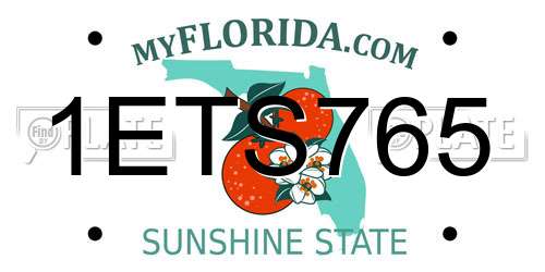 1ETS765 Florida License Plate