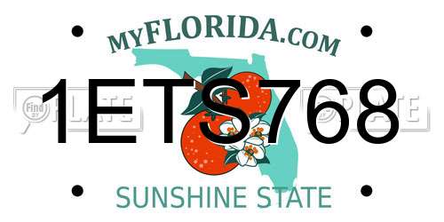 1ETS768 Florida License Plate