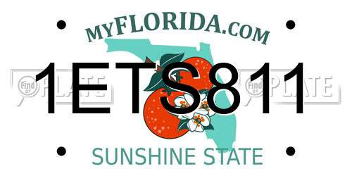 1ETS811 Florida License Plate