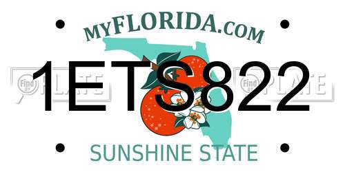 1ETS822 Florida License Plate