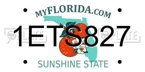 1ETS827 Florida License Plate