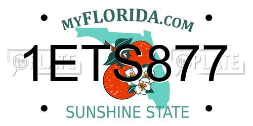1ETS877 Florida License Plate