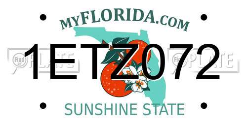 1ETZ072 Florida License Plate