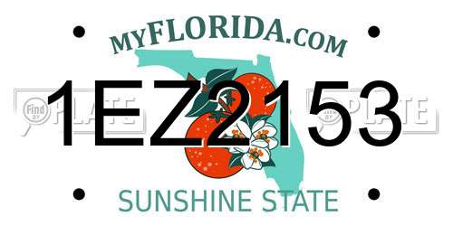 1EZ2153 Florida License Plate