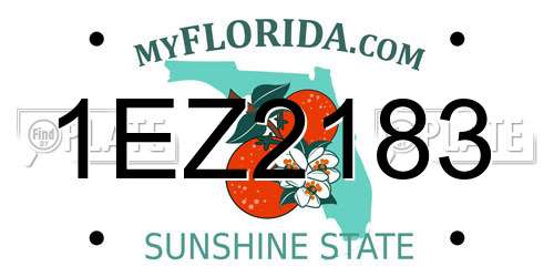 1EZ2183 Florida License Plate