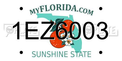 1EZ6003 Florida License Plate