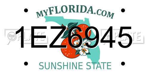 1EZ6945 Florida License Plate