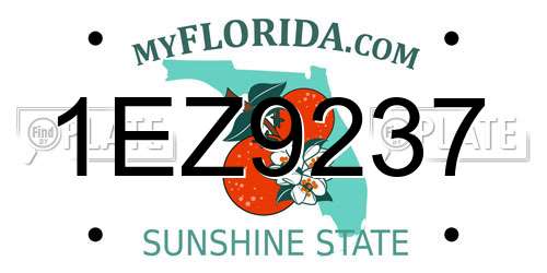 1EZ9237 Florida License Plate
